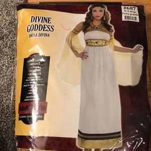 New in bag Halloween costume-  DIVINE GODDESS size adult woman- X-Large